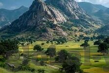 糖心app黄官方下载-保持信息安全与个人健康的明智选择，探寻智能应用的安全使用之道